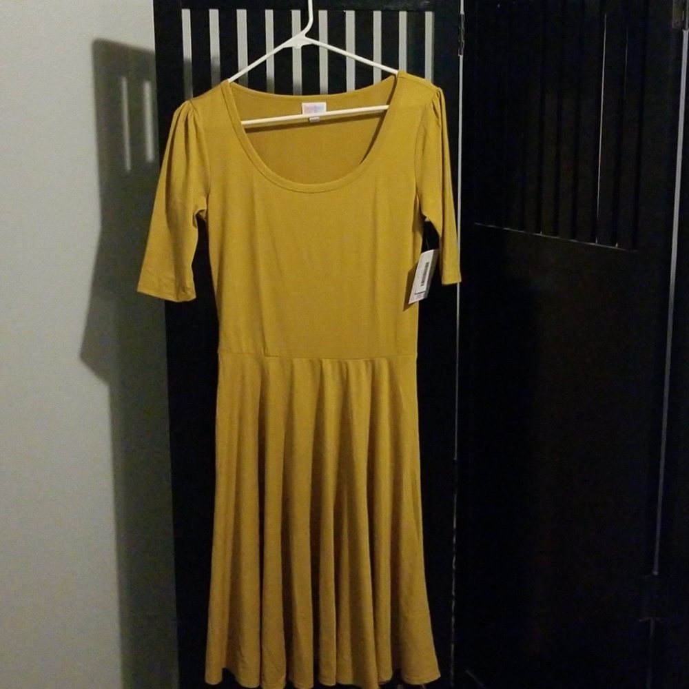 BNWT lularoe nicole dress